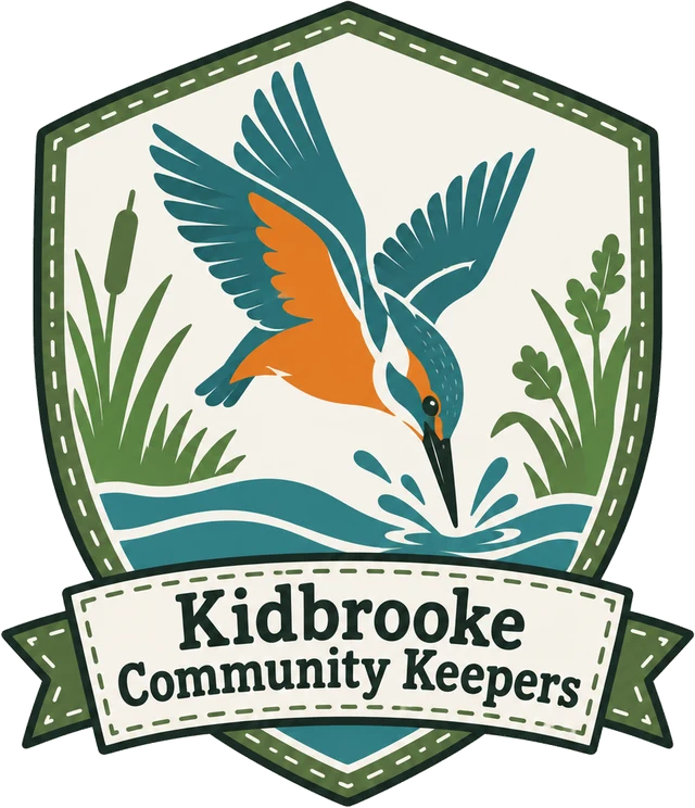 The Young Keepers patch: a kingfisher diving into the river